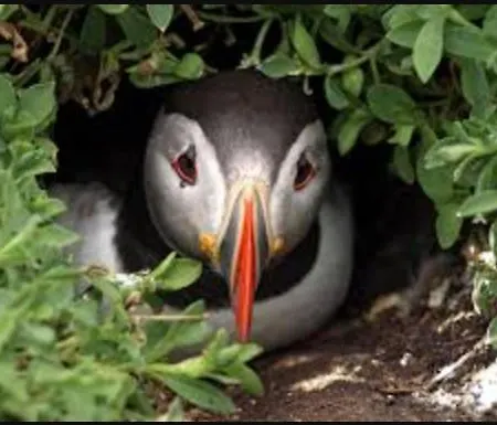 Wild Atlantic Pods Apartmán