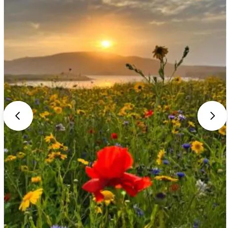 Wild Atlantic Pods * Portmagee