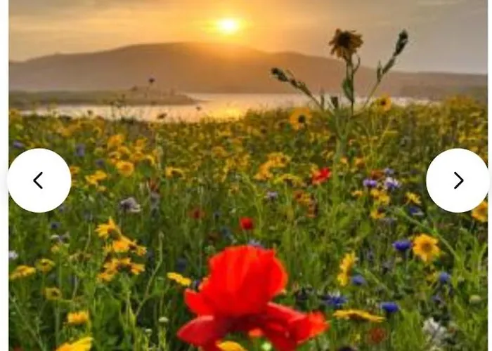 Wild Atlantic Pods * Portmagee